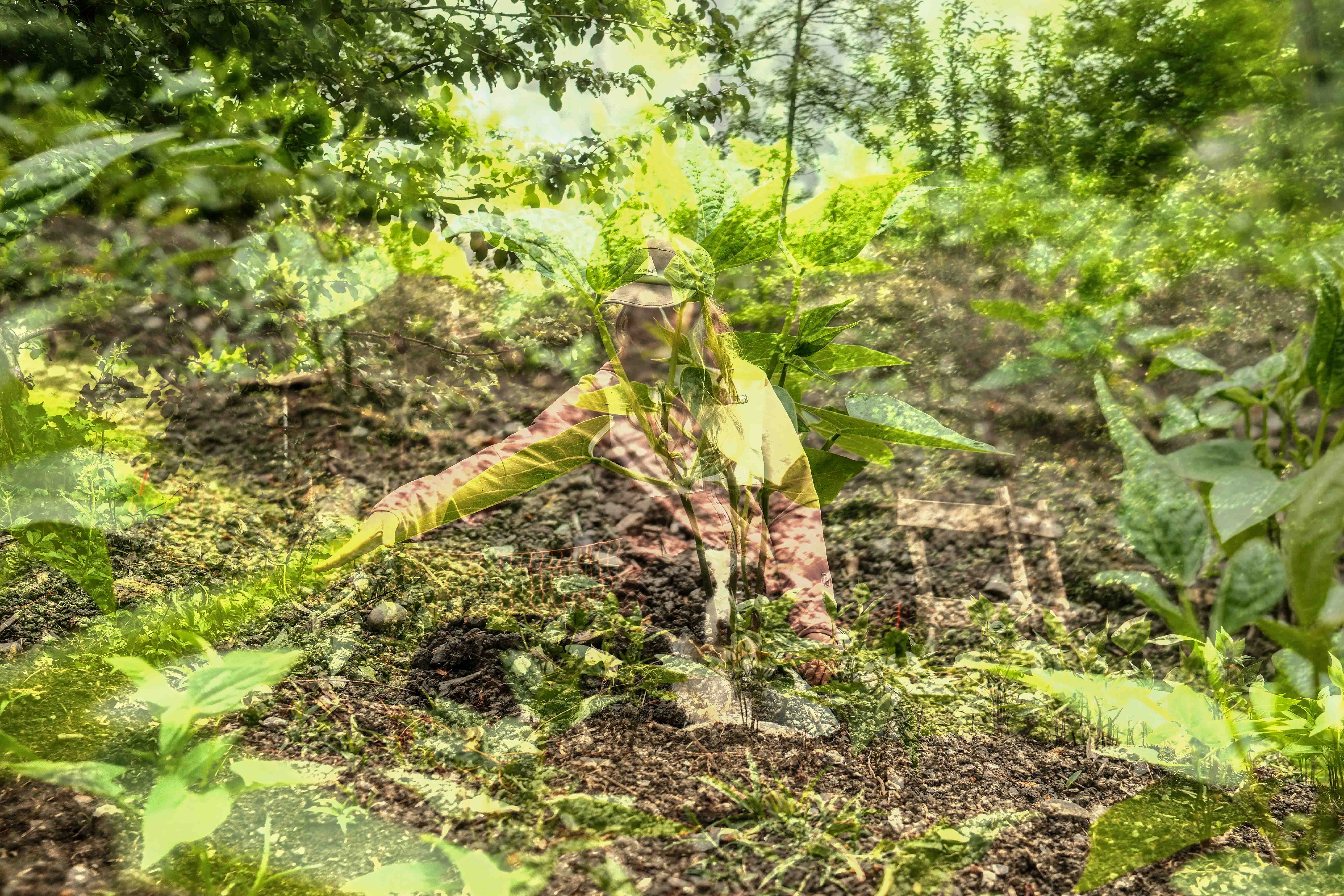 Manon Neulas Maraichère à Servoz